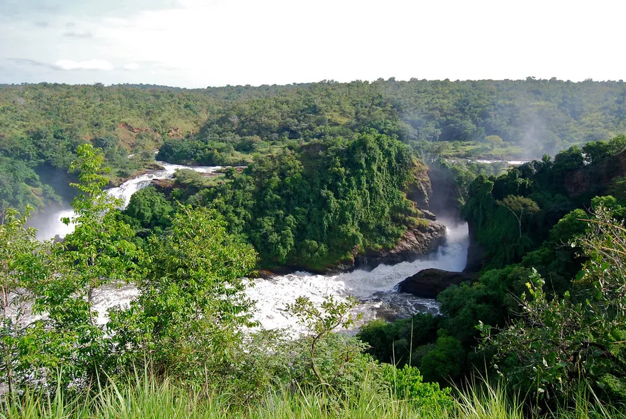 Game Drive in Murchison Falls NP