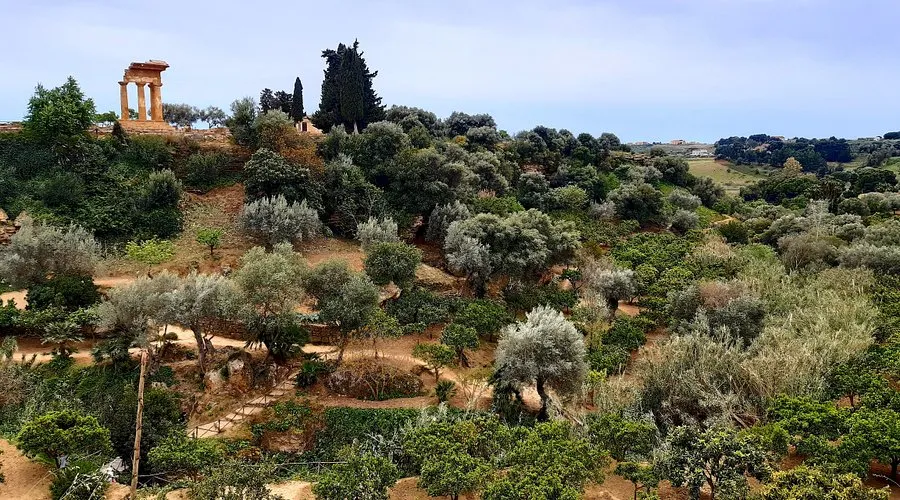 Garden of Kolymbetra
