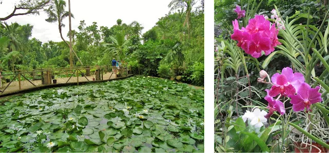 Garden of the Sleeping Giant