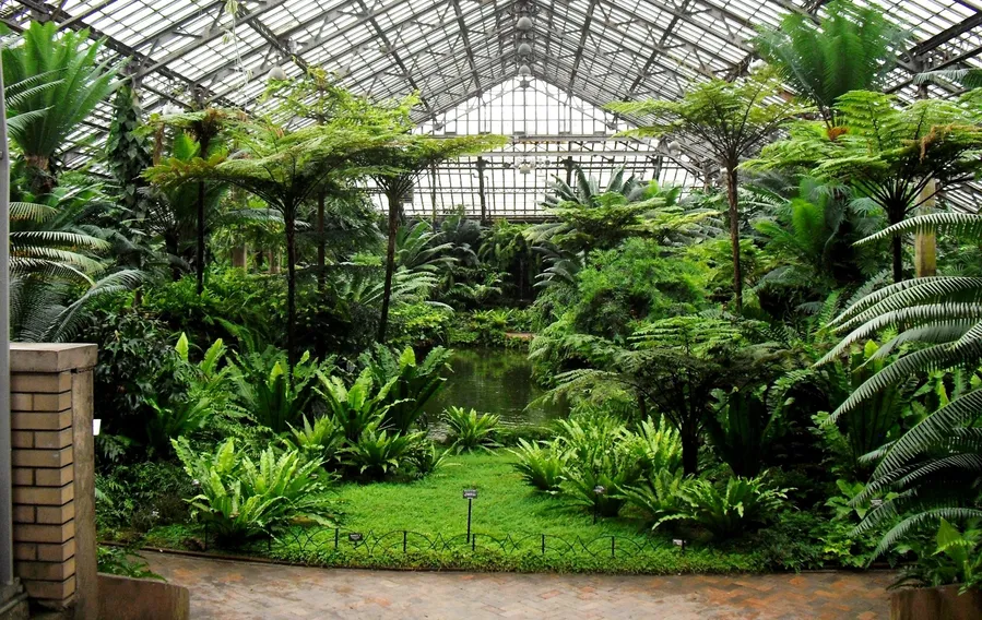 Garfield Park Conservatory & Sunken Garden