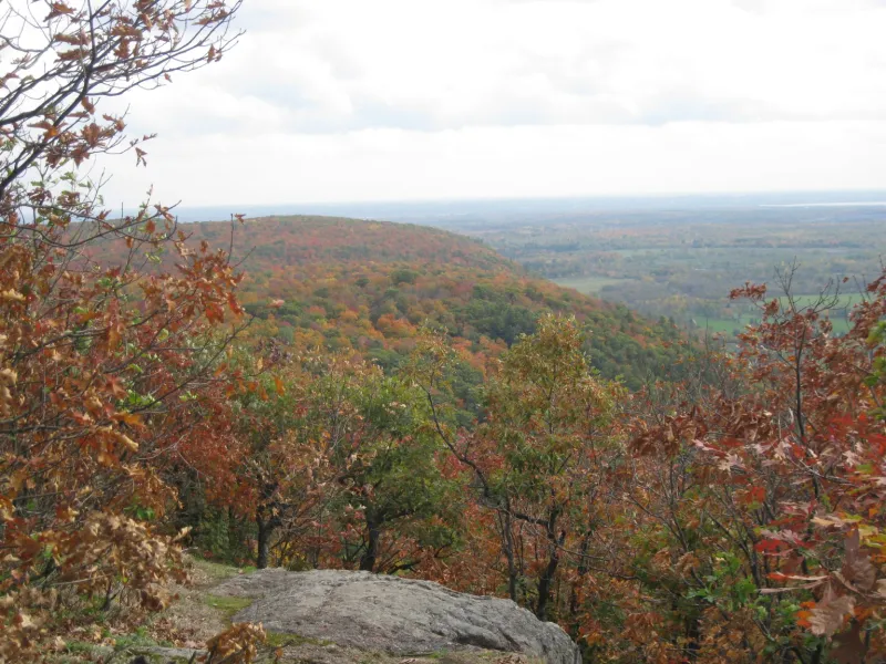 Gatineau Park