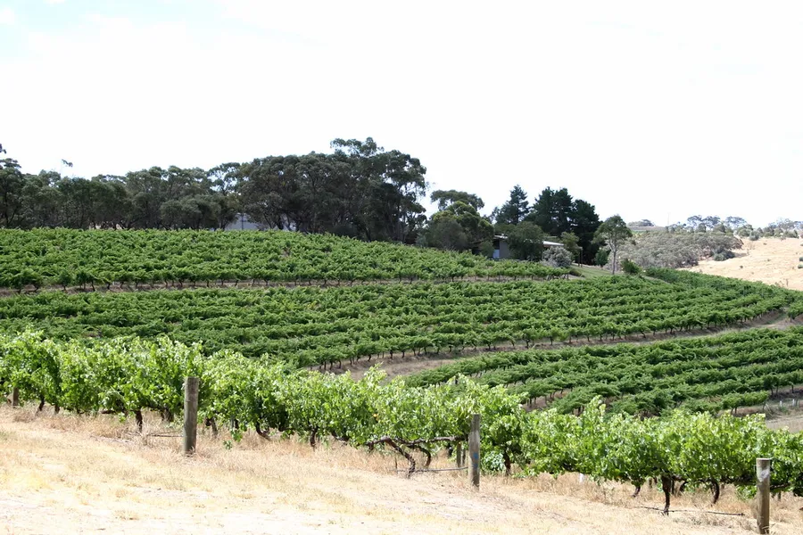 Gemtree Wines