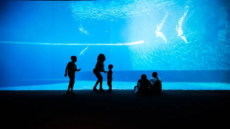 Genoa Aquarium