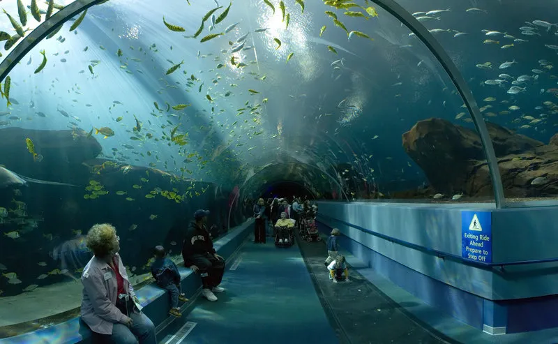 Georgia Aquarium