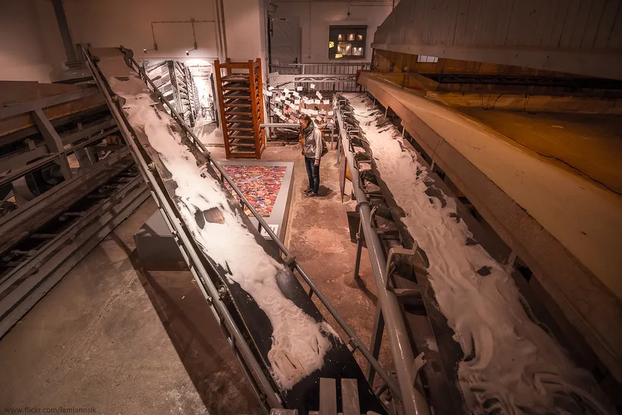 German Salt Museum