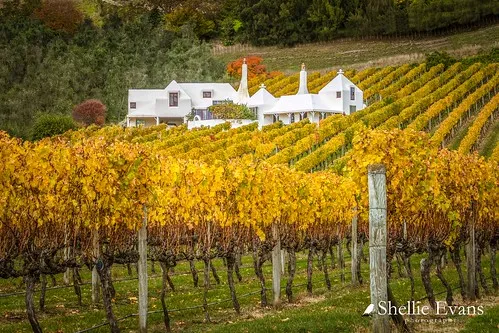 Giant's Winery