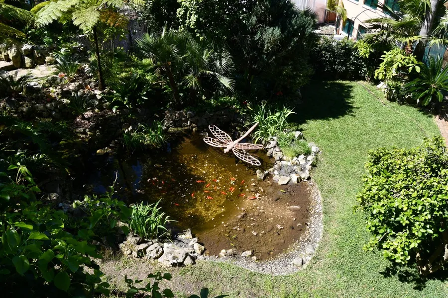 Gibraltar Botanic Gardens