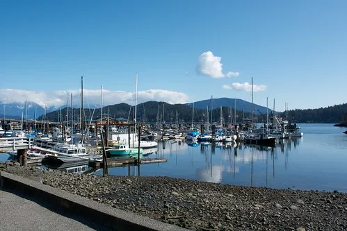 Gibsons Marina