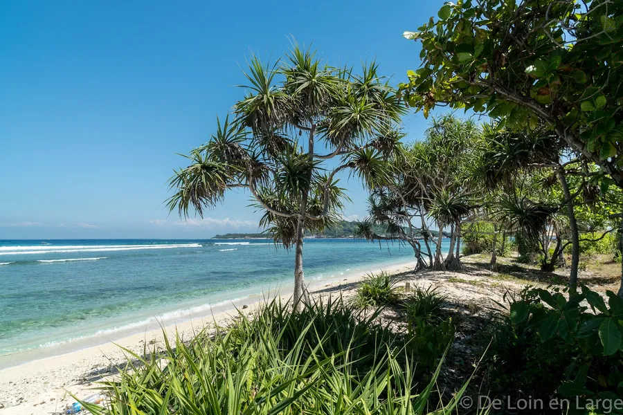Gili Meno Bird Park