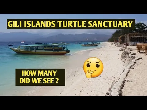 Gili Meno Turtle Sanctuary