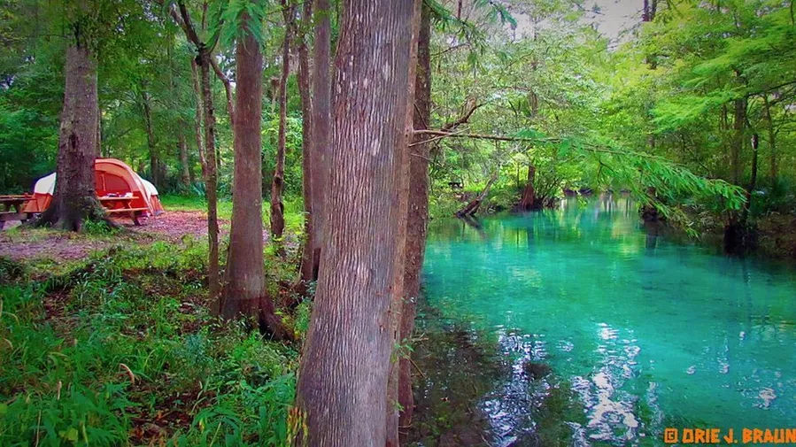 Ginnie Springs Outdoors