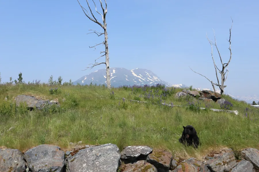 Girdwood Center for Visual Arts