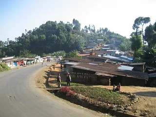 Gisakura Tea Estate