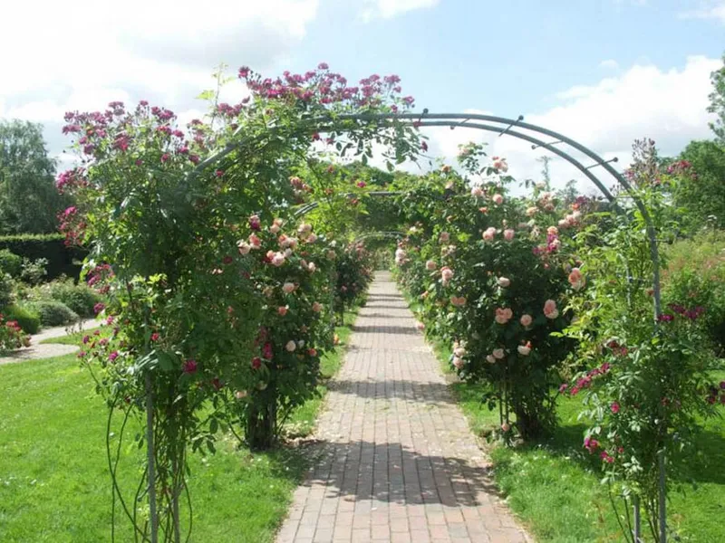 Glücksburg Rosarium
