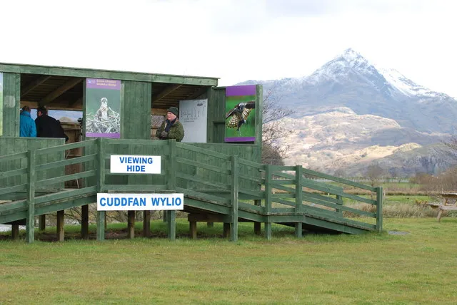 Glaslyn Osprey Project