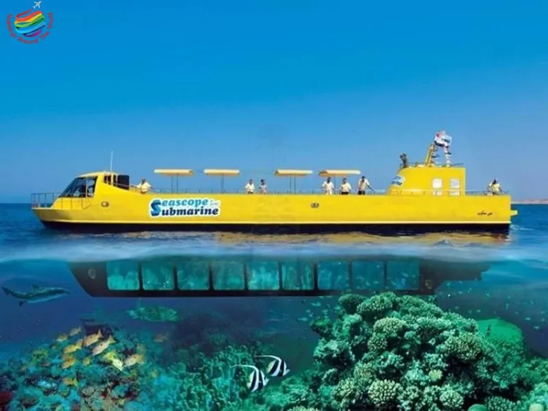 Glass Bottom Boat Tour