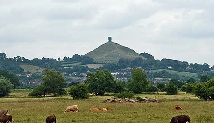 Glastonbury Thorn