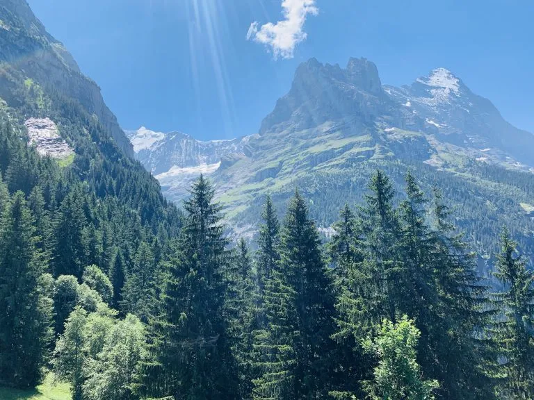 Gletscherschlucht (Glacier Gorge)