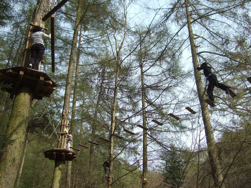 Go Ape Zip Line Adventure
