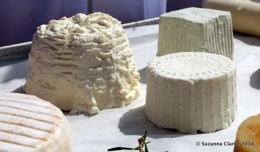 Goat Cheese Tasting