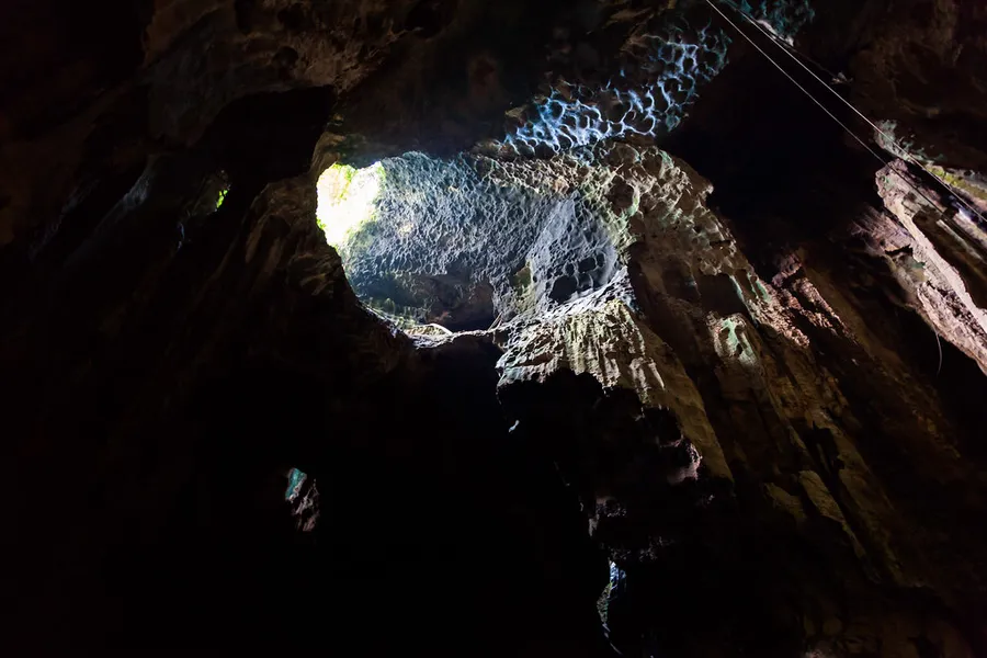Gomantong Caves