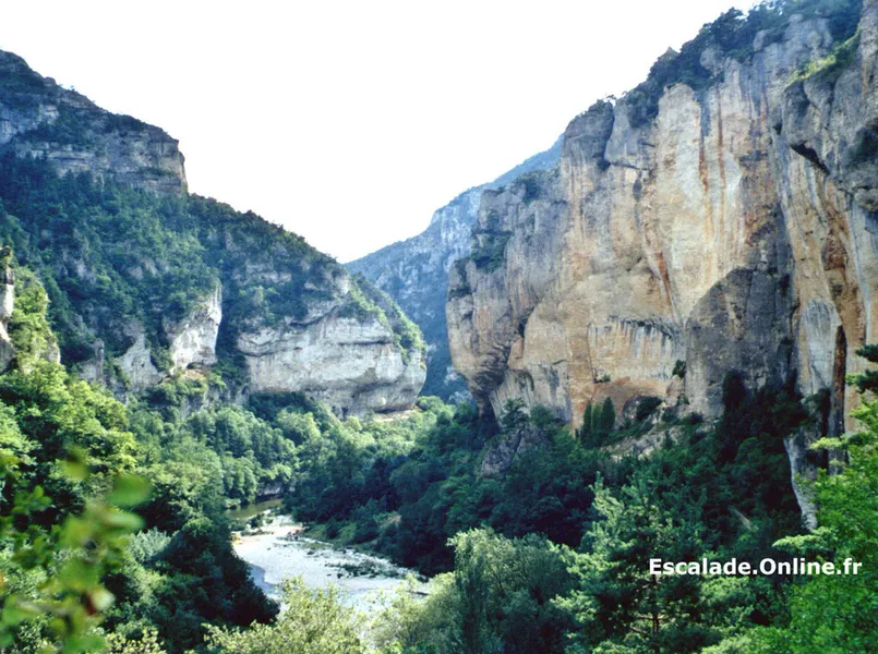 Gorges du Tarn