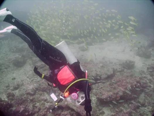 Gorgona Diving Center