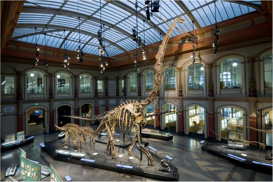 Goseong Dinosaur Museum