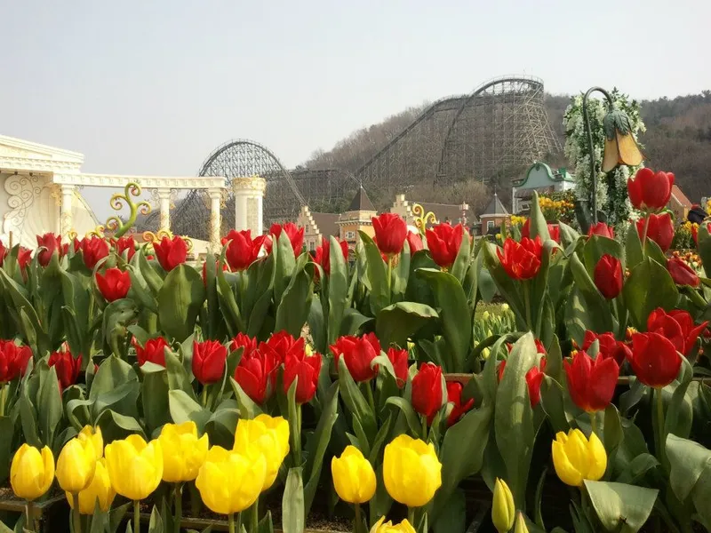 Goseong Onggi Theme Park