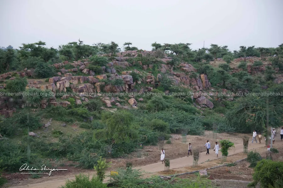 Govardhan Hill (Giriraj Parvat)