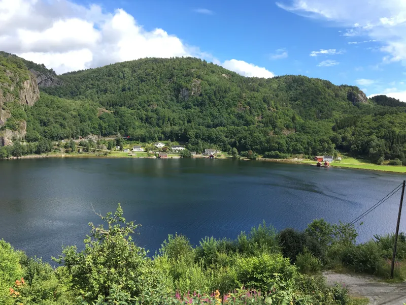 Grønsfjord