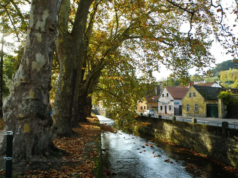 Gradna Stream Trail