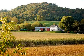 Grafton Village
