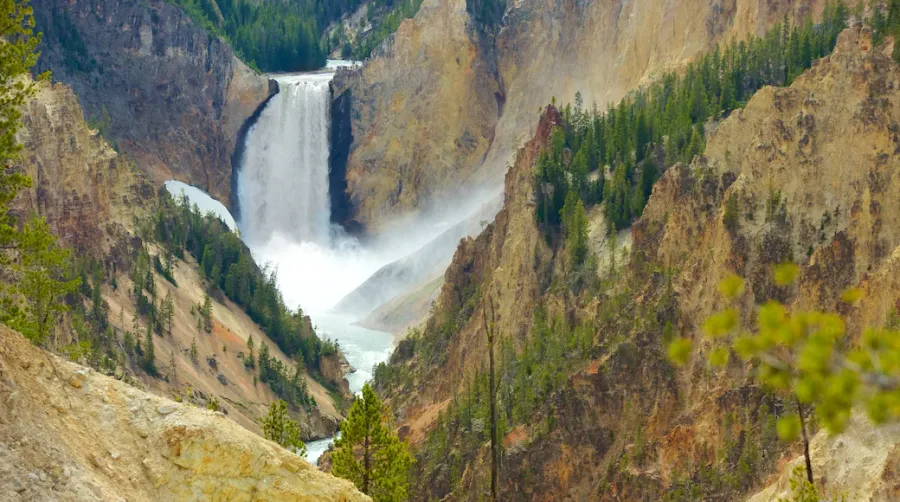 Grand Canyon of the Yellowstone