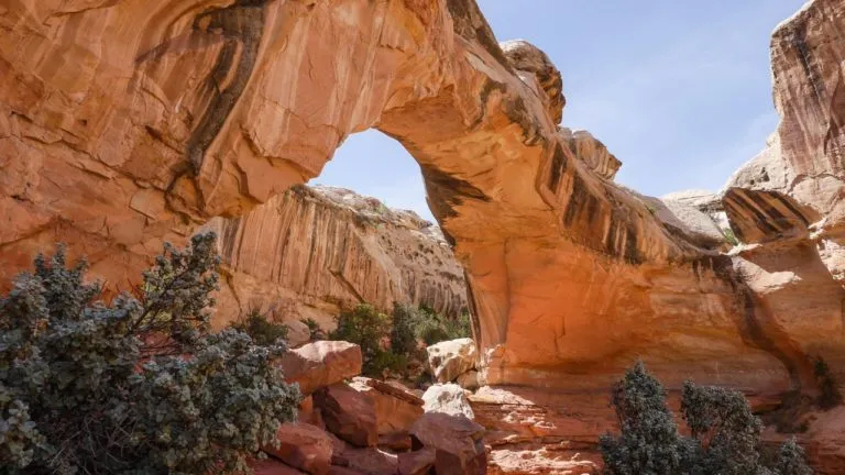Grand Wash Trail