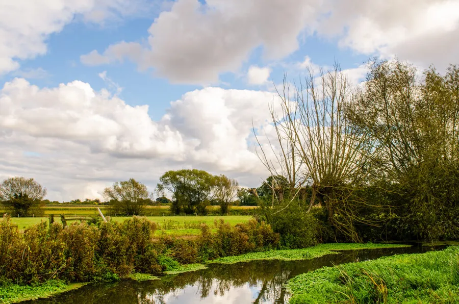 Grantchester Meadows