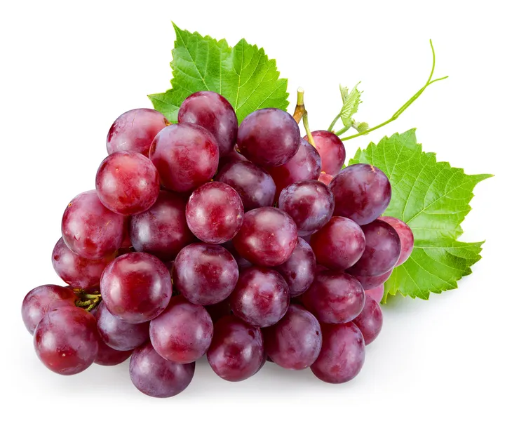 Grape Festival