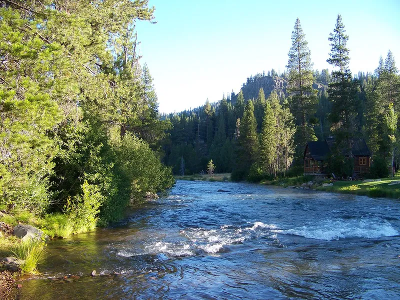 Gray Creek Trail