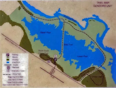 Great Meadows National Wildlife Refuge