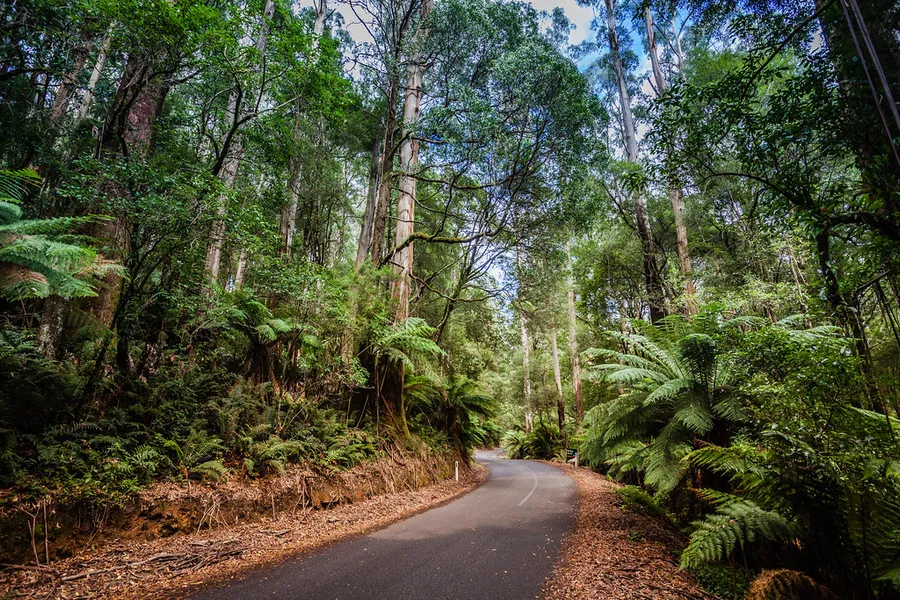 Great Otway National Park