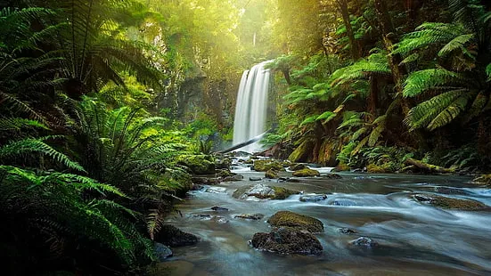 Great Otway National Park