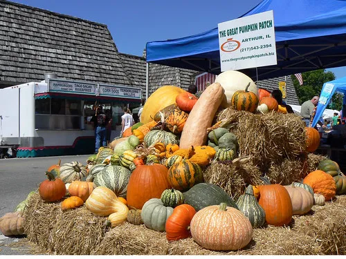 Great Pumpkin Patch