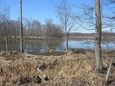 Great Swamp Sanctuary