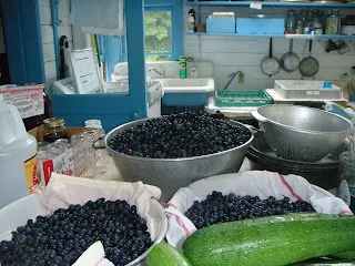 Green Briar Nature Center and Jam Kitchen