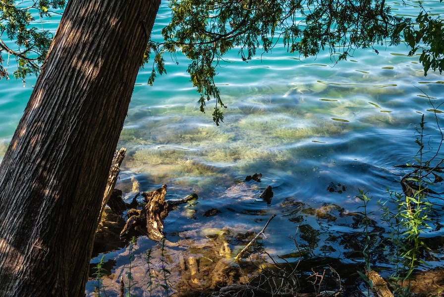 Green Lake