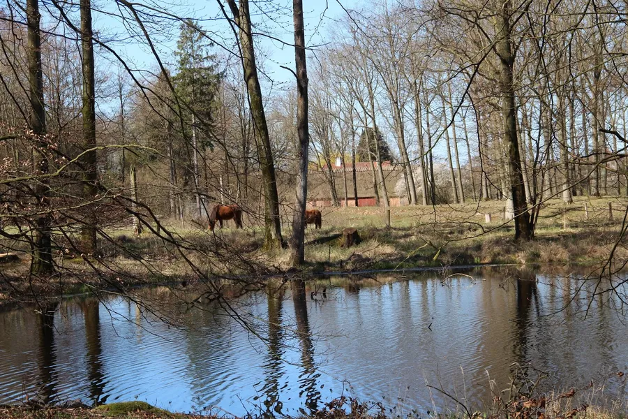 Gribskov Forest