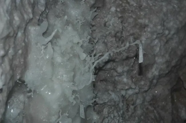 Grotte de Fuilla