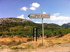 Grotte de Tautavel (Caune de l'Arago)