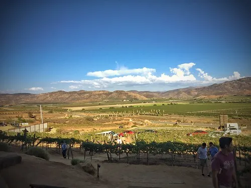 Guadalupe Valley Wine Route (Ruta del Vino)