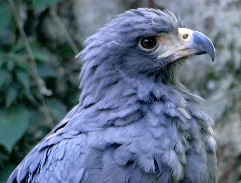 Guira Oga Wildlife Refuge